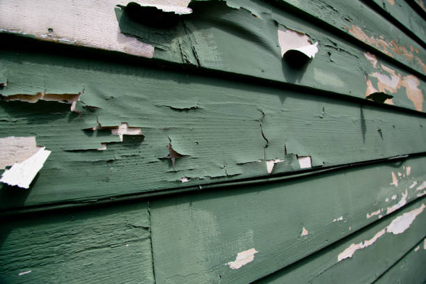 Affordable Siding Repair and Maintenance Services in San Gabriel, CA